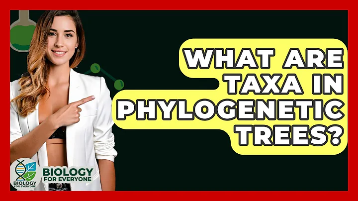 What Are Taxa In Phylogenetic Trees? - Biology For Everyone