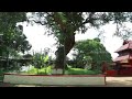 Thrickodithanam temple