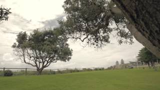 Shellharbour Beach
