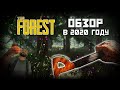 THE FOREST В 2020 | ОБЗОР