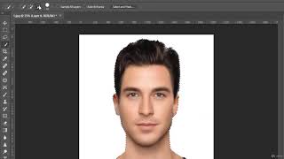 Photoshop Basics -  Selection Quick Selection Tool