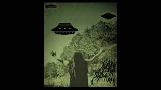 Altar of Profanation - Through the Netherverse