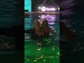 Billie Eilish celebrating in the pool 