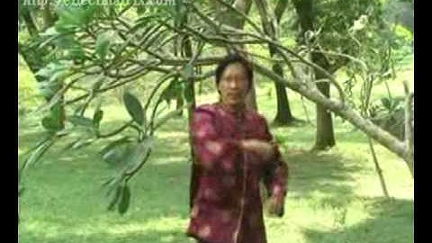 Learnov8- Flexibility   Versatility in Management.mpg