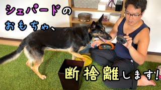 愛犬のおもちゃを断捨離します！【完結編】 | 維桜さんブログ