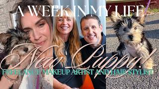 Behind the Scenes at the BBC | From London to Cornwall, Private Clients & Puppy Life 🦮