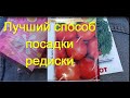 &quot;Дуро краснодарское&quot; Сажаю редиску. Приспособление для посадки.