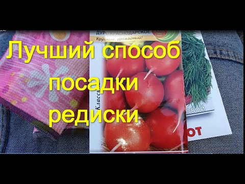 Вопрос: Редис Дуро краснодарское . Какие особенности сорта Какие отзывы?