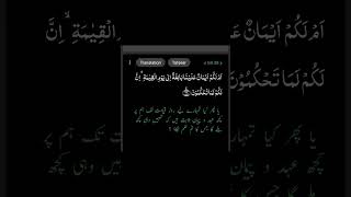 68) Surah Al-Qalam | Ayat 34-41 | Urdu translation | Moudoodi