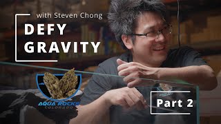 DEFY GRAVITY  Aqua Rocks Colorado Aquascaping Demonstration  Part 2