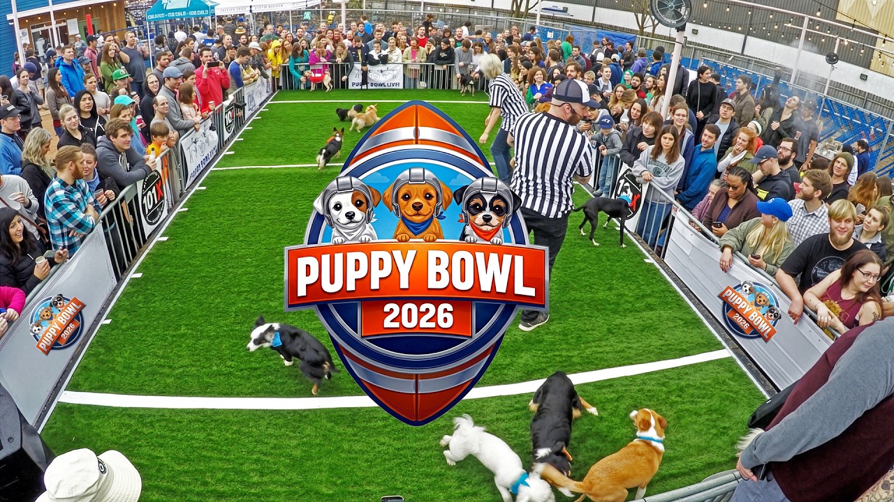 Puppy Bowl 2026 LIVE! Animal World Special Mission Pets Alive