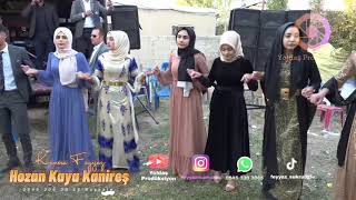 Hozan Kaya Kanireş 2022 Van Düğünleri
