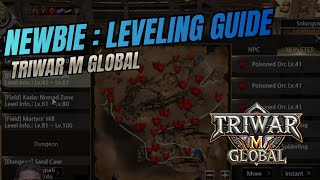 Newbie Leveling Guide Triwar M Global