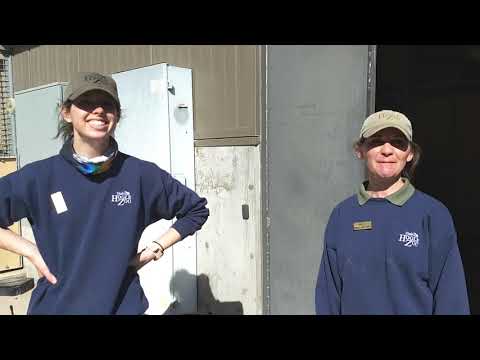 HR Studios   Video for Volunteers