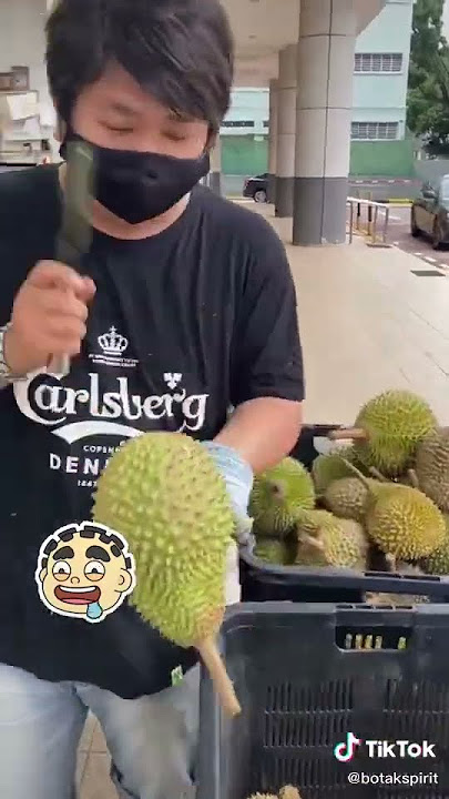 “Black Gold” durian