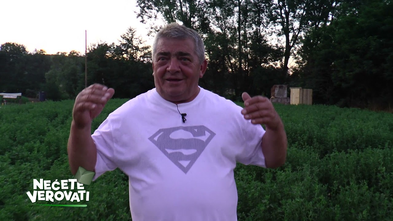 NEĆETE VEROVATI - Ljuljaška