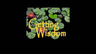 Getting Wisdom 15 by Getting Wisdom 5 views 9 months ago 16 minutes