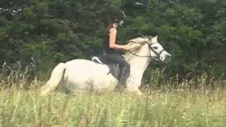 Tommy,Danny & Jay Flatwork x