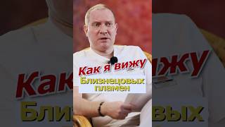 Как я вижу Близнецовых пламен