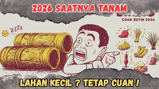 5 Tanaman Penghasil Uang Rutin: Lebih Produktif dari Emas