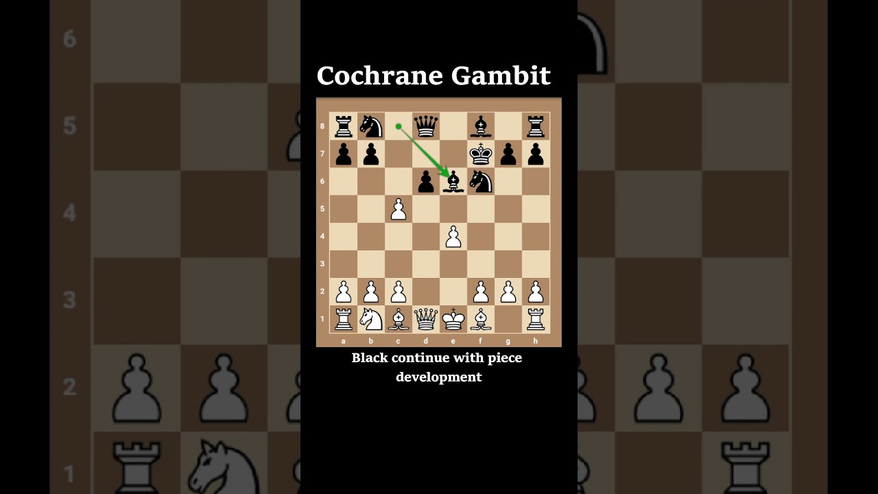 Chess Trick to Beat the Petrov Defense