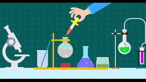 ANIMATED VIDEO  BY STUDIO SCUTTLES