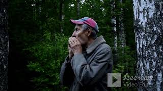 видео: Ваба. картинка: Ваба.