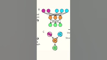 The Power of Probabilistic Reasoning in AI Decision-Making