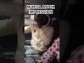 Murda Mook impression #qleenpaper #quantumphysics #qp #comdey #funny #impression #battlerapper #fyp