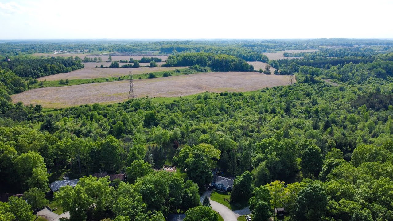 43 Sylvan Drive YouTube