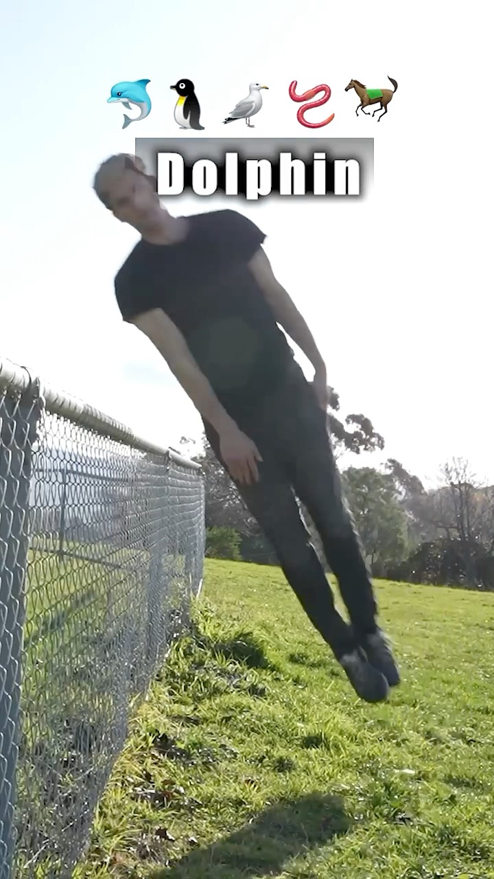 #JasonDeruloTV // Animals Vs Fence ? #GotPermissionToPost From @JiembaSands #SlowLow