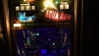 Williams Aqua Gun EM Gun Game Arcade Shooter Rifle 1968 screenshot 3