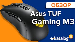 Обзор игровой мышки Asus TUF Gaming M3