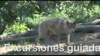 Naturatv Trailer Promocional