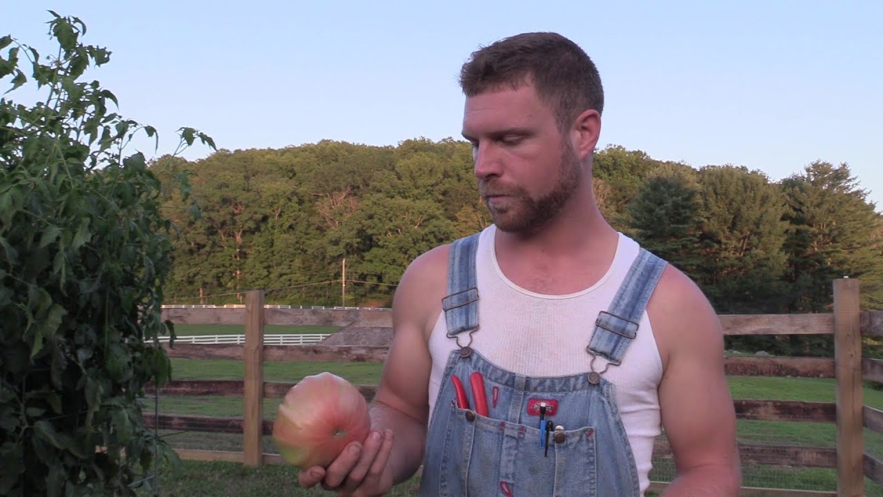 My Favorite Tomatoes/ Best out of 80 Varieties I grew in 2020.