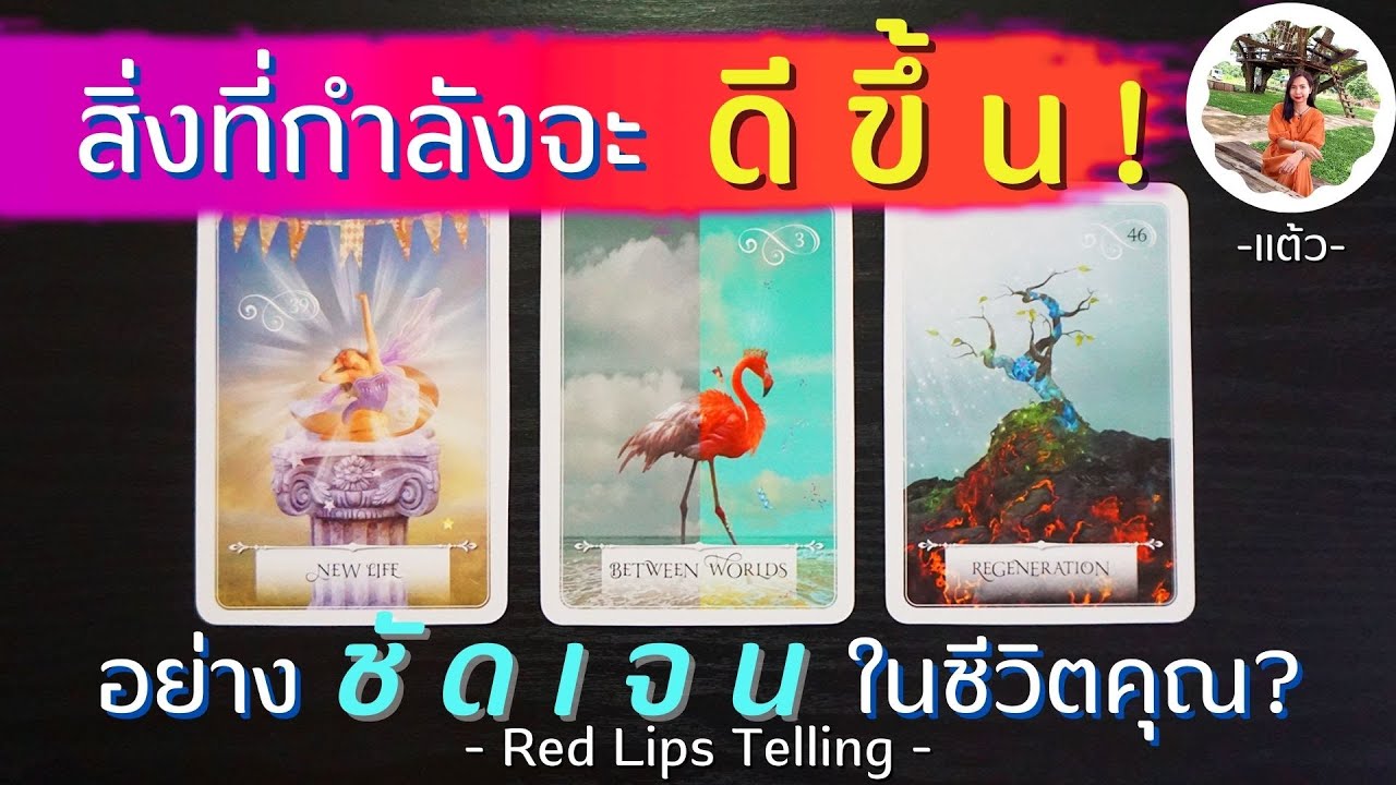 Pick A Card : สิ่งที่กำลังจะดีขึ้น อย่างชัดเจนในชีวิตคุณ? [ Timeless ]
