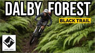 Dalby Forest UCI Worldcup Black Trail
