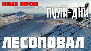 Группа Пули Дни   Лесоповал