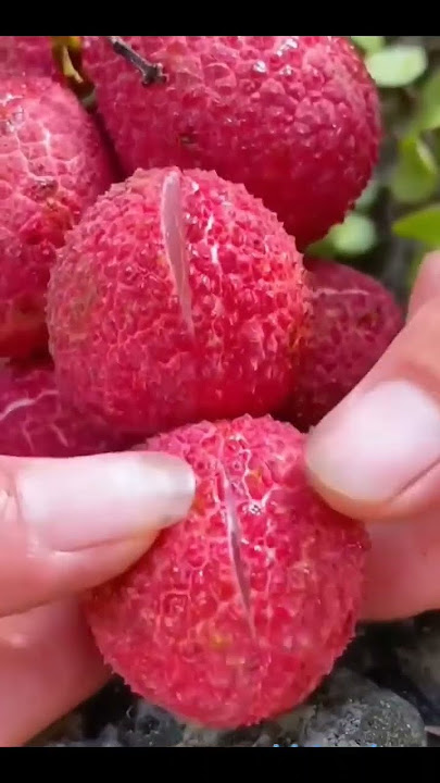 #liche #fruit #foodas97 #frut #shortsfeed #world #viral #shortvideo