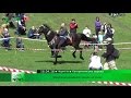 Чернігівців розважали козаки на конях (ВІДЕО)