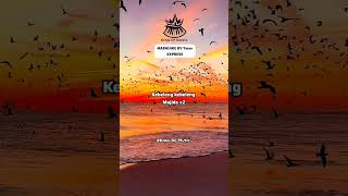 rabaijike By Tman Express