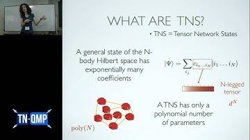 TNQMP2016: Mari-Carmen Bañuls (June 29, 2016)
