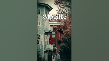 5 Cinematic Fonts For Your Videos (2024)