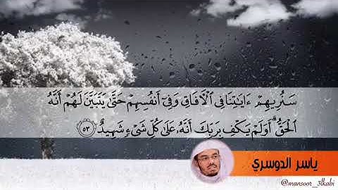 سنريهم آياتنا في الآفاق وفي انفسهم /ياسر الدوسري