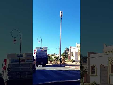 وجدة يآ النورة الناس جاوك زيارة