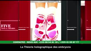 Les Merveilles De La Chaussure A Plus Energy De Longrich - Leader Huberson