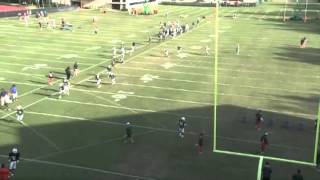 Defense Pursuit