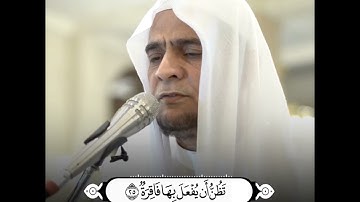 ✅جديد✅تلاوة مميزة ماتيسر من سورة القیامة .!للشيخ علي طاهر الكردي