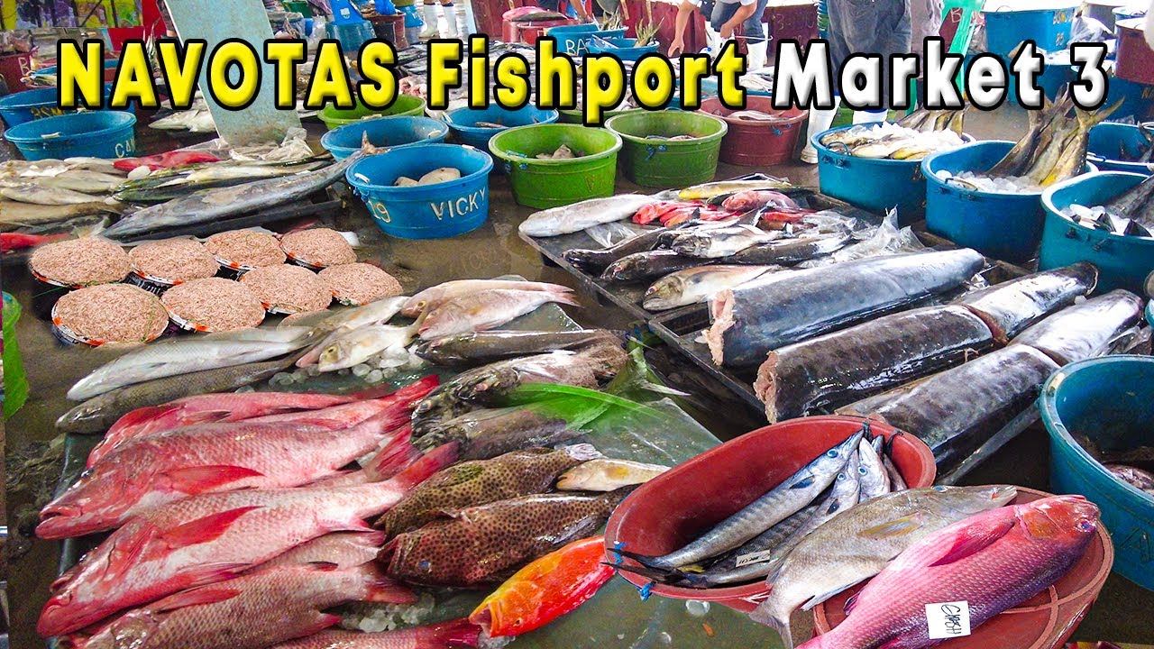 LARGEST FISH MARKET IN THE PHILIPPINES Navotas Fish Port Complex LARGEST FISH MARKET IN THE PHILIPPINES Navotas Fish Port Complex