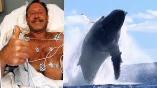 Man Swallowed by Humpback Whale Was 1 in a Trillion screenshot 2